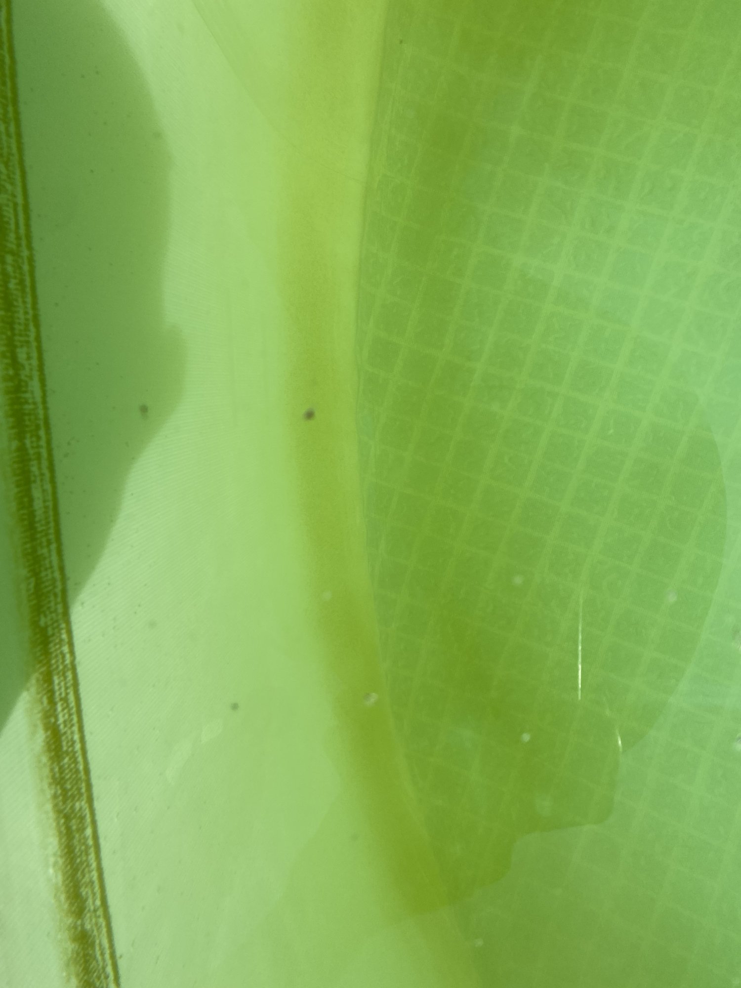 E32ED4C9-2934-4653-97C2-A953A342B276.jpeg