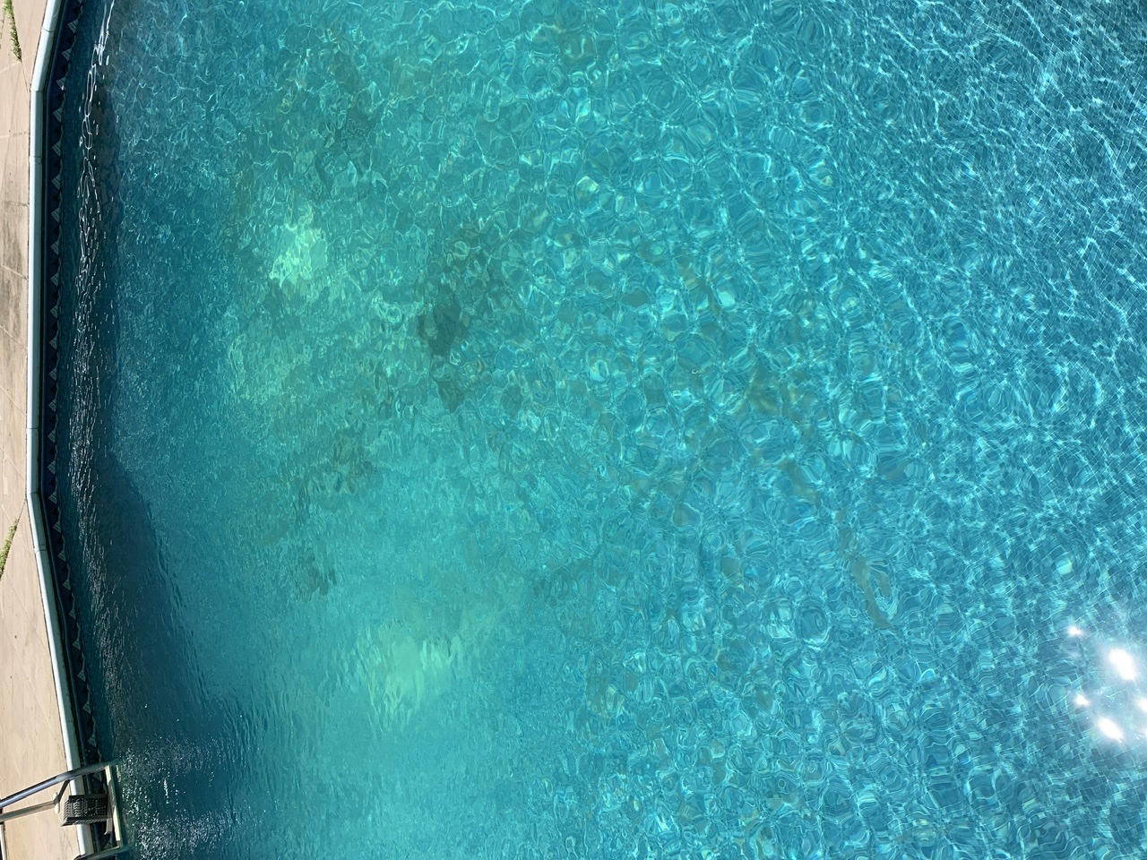E68A6E92-56A1-40B8-A7C4-8D1DDC28187F.jpeg