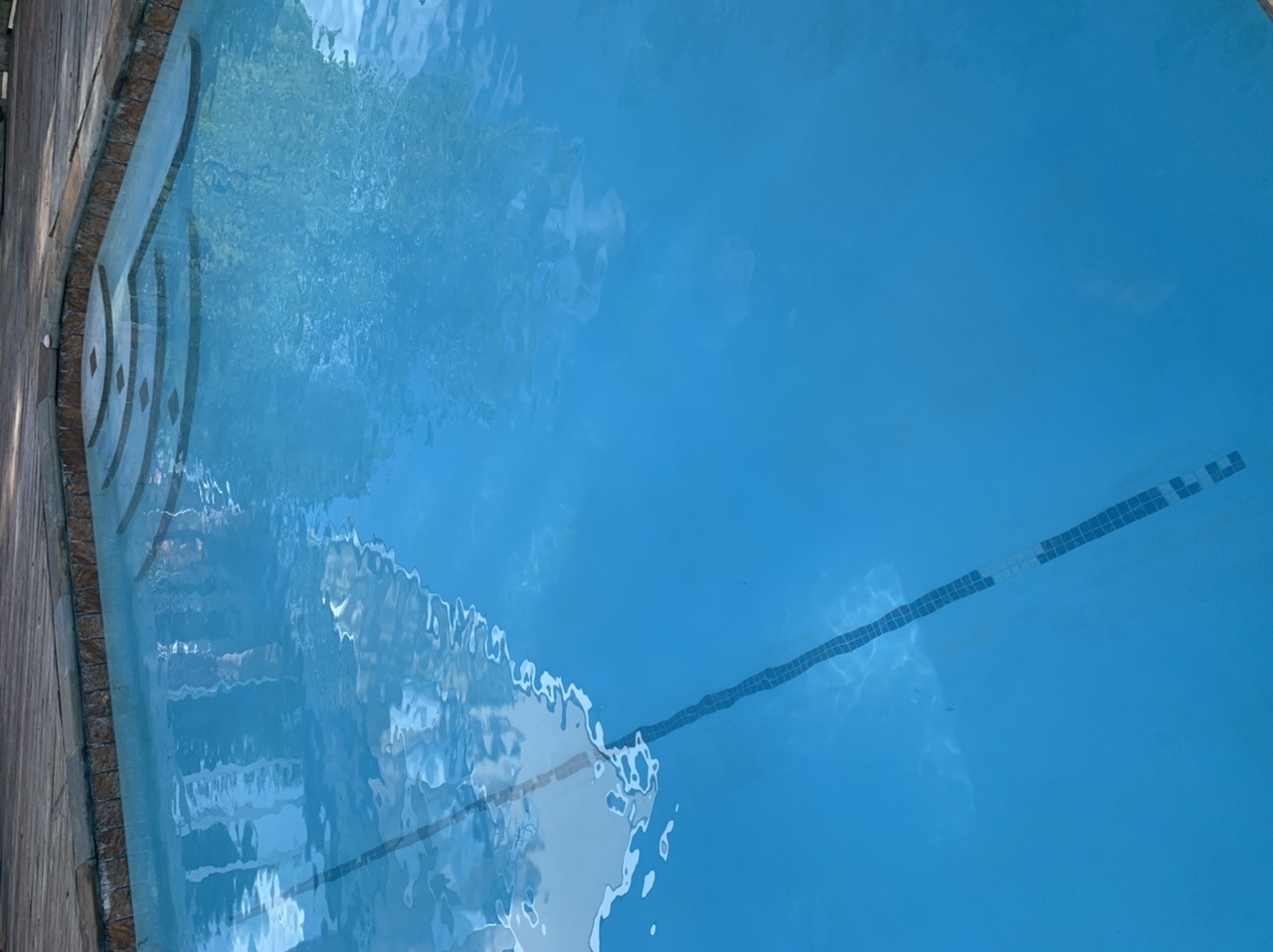 E77F7C6C-D28F-4B74-B233-167B95E88481.jpeg