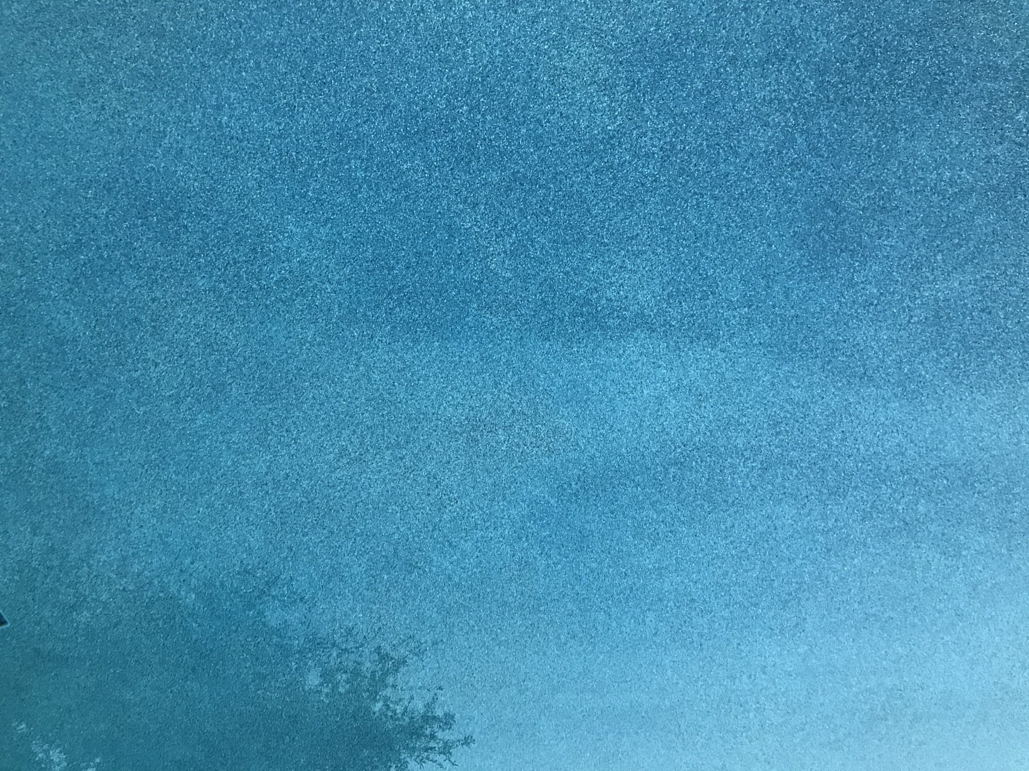 EB040AE5-C9AE-41D9-B65B-8BB3E1A1111C.jpeg