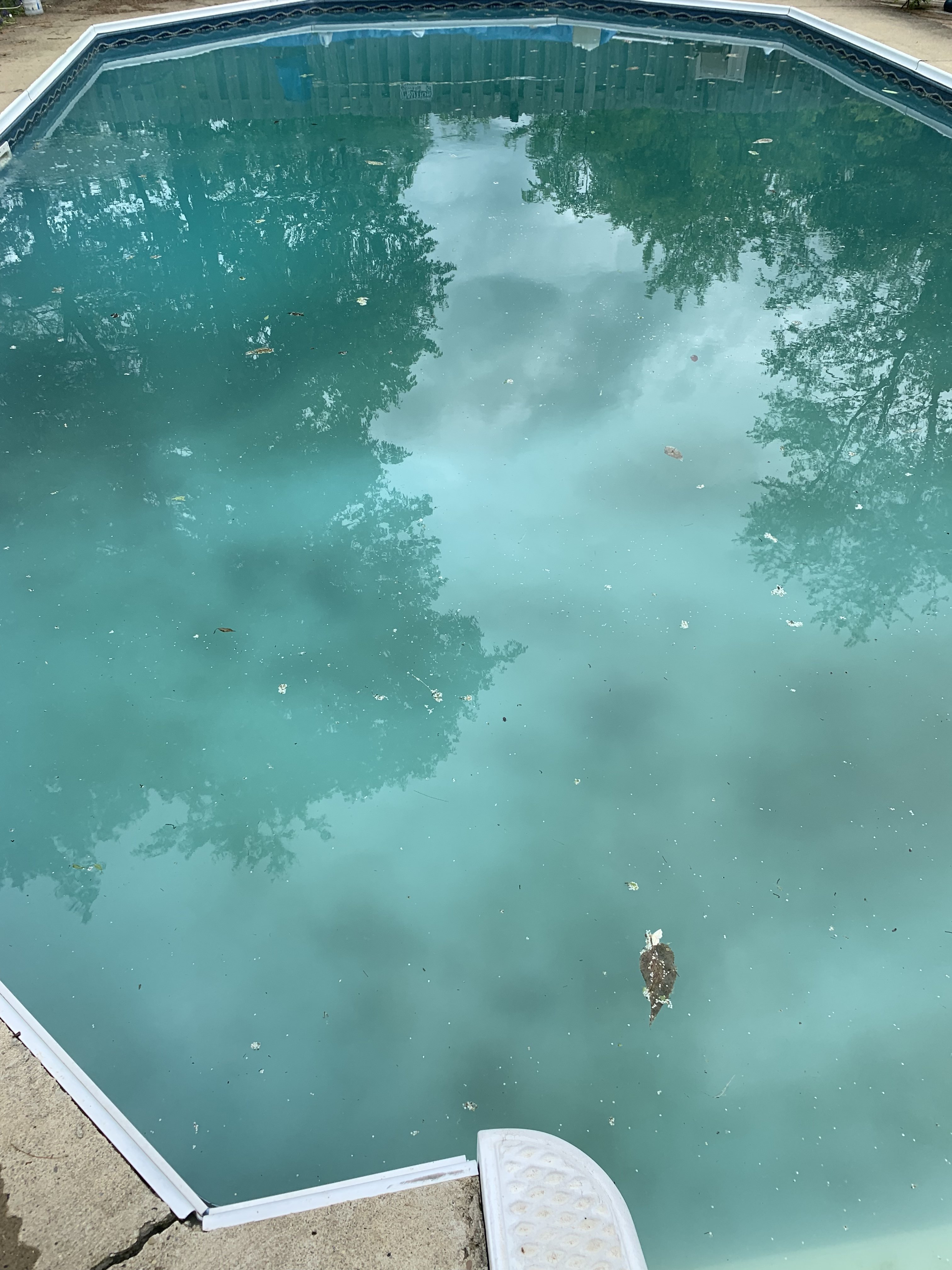 EC358702-258F-47F2-8F56-FD7F00CE7754.jpeg