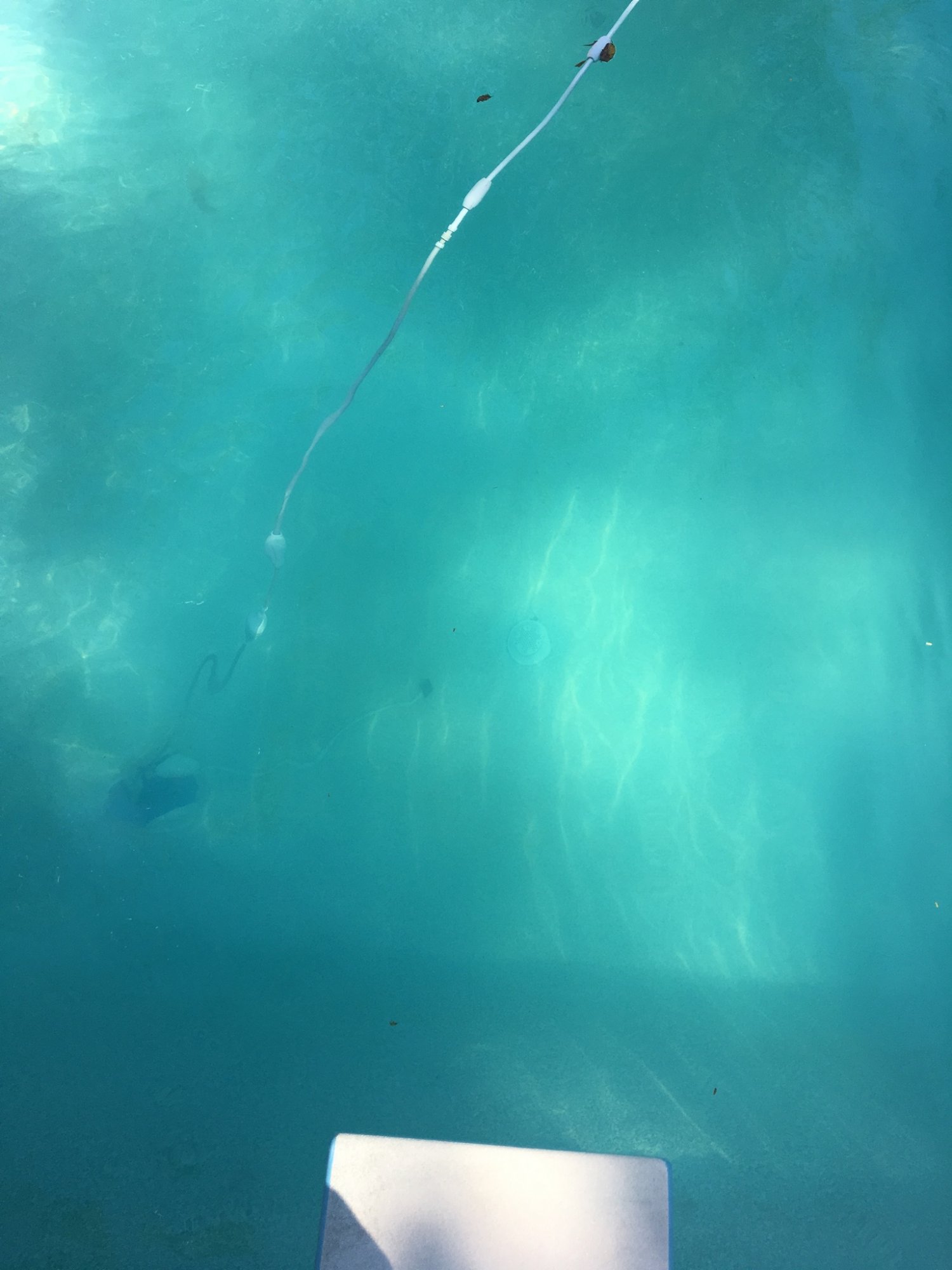 ED742419-ACCD-4A3E-A368-7CF695EA6E6C.jpeg