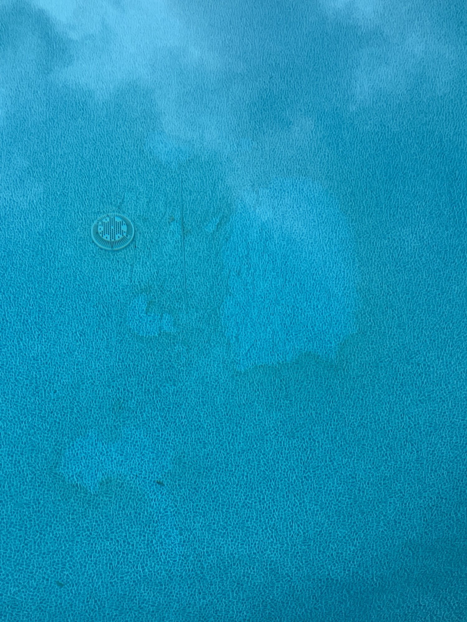 EDA42687-2606-4C0A-AD80-34129BDB5292.jpeg