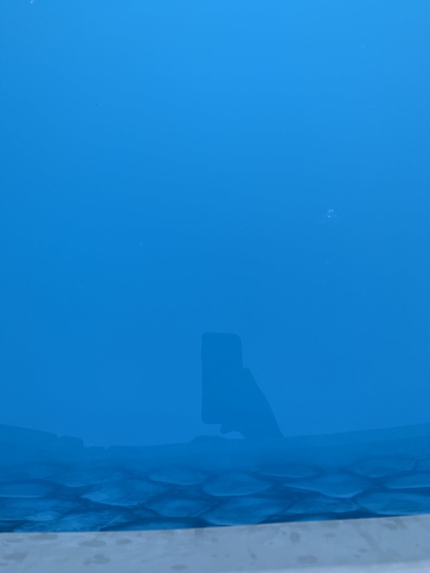 EED1150D-8CEF-4B80-86F9-5DFFF911E620.jpeg