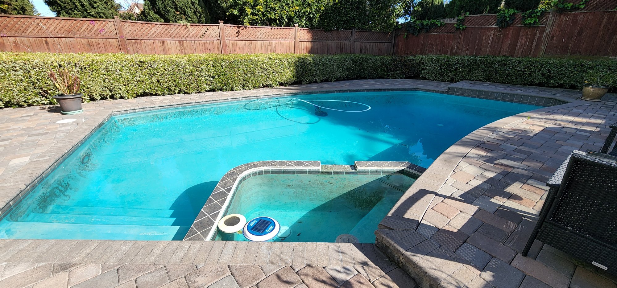 Entire Pool.jpg