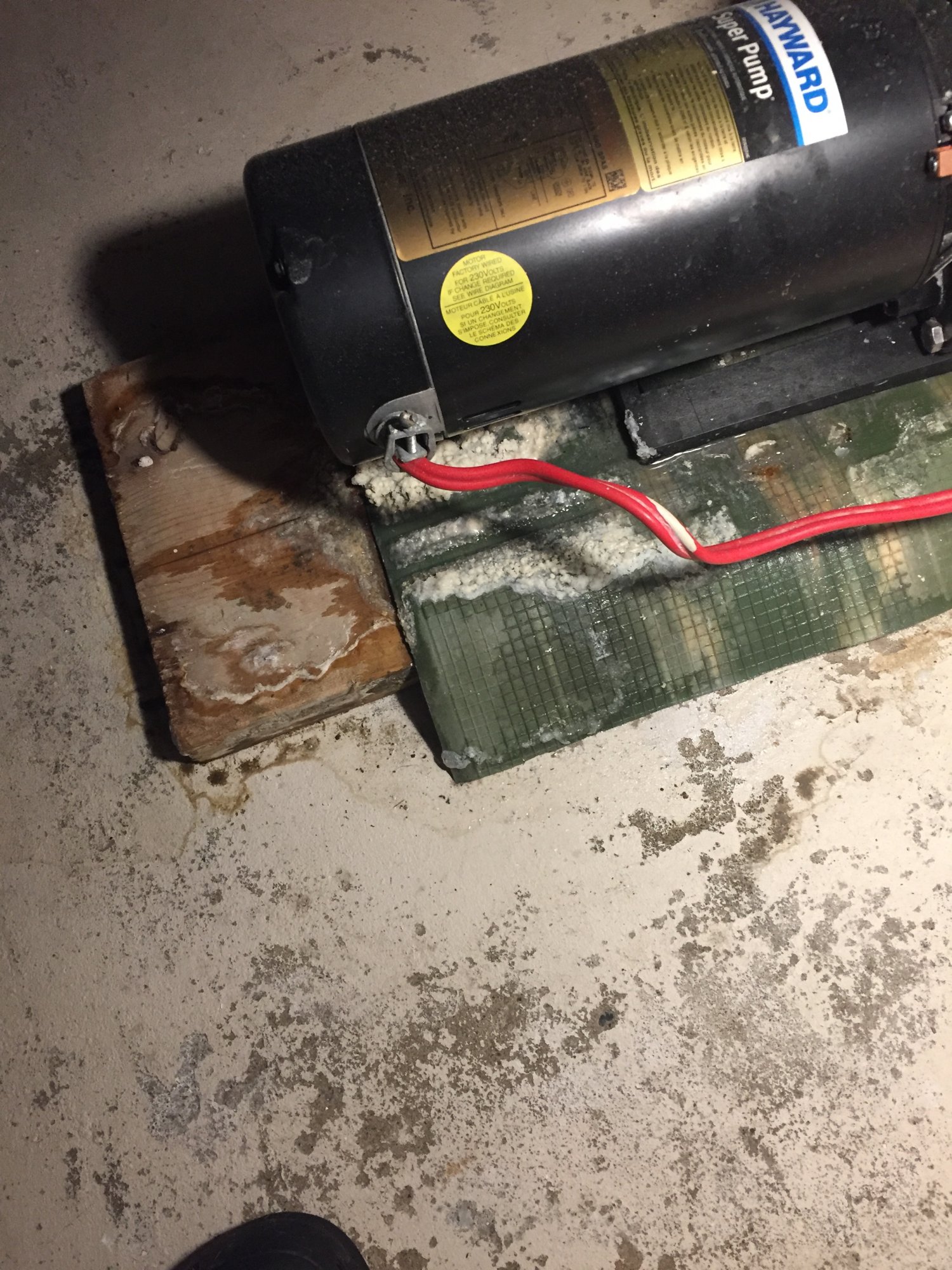 F07EFADD-1124-4277-819A-EE1CFCDDA864.jpeg