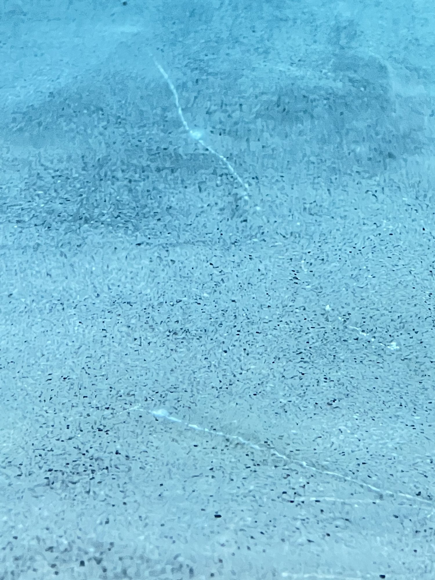 F174C86D-8575-4F89-9D0B-1E3D505A8A9B.jpeg