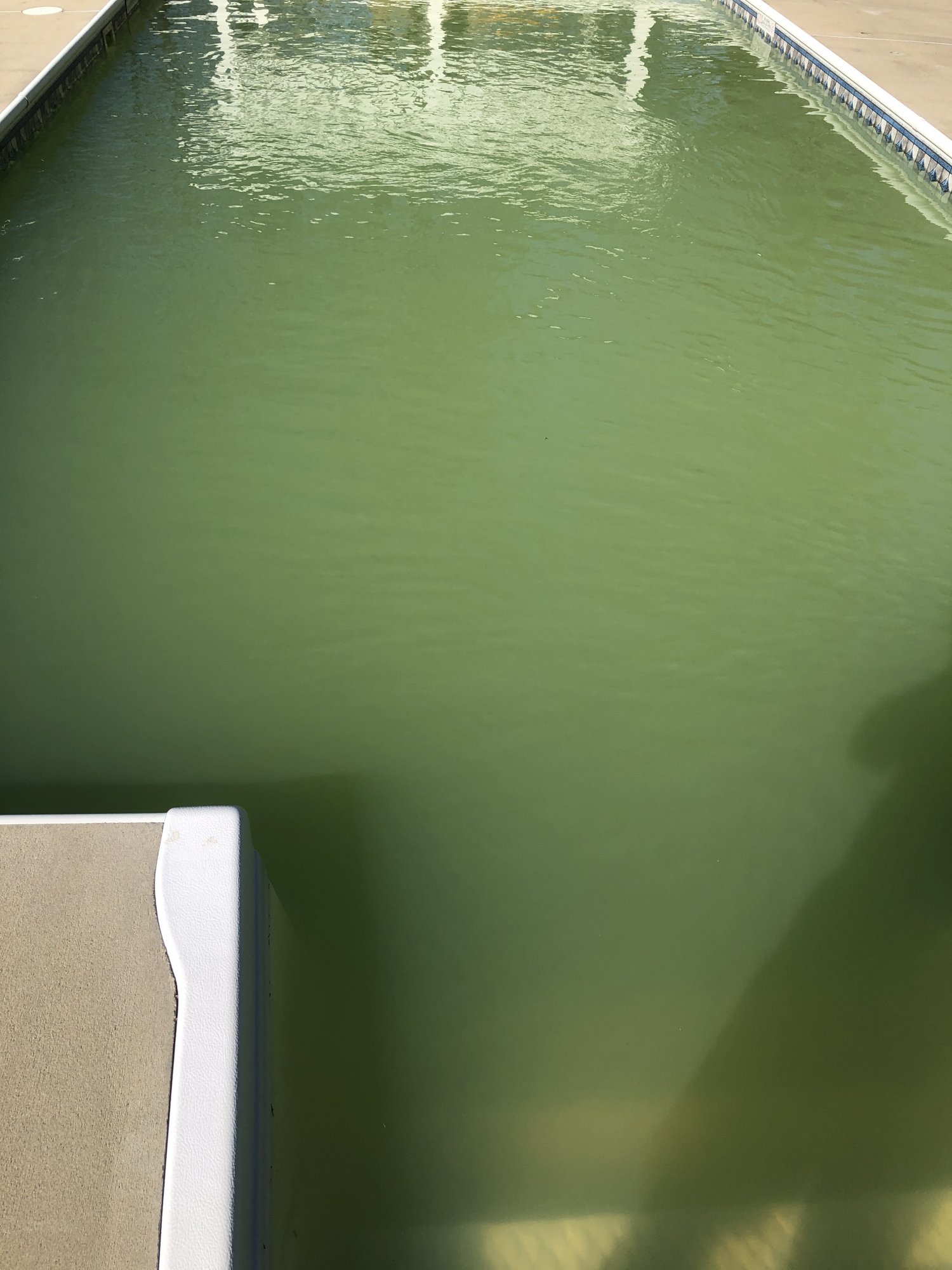 F26740DF-A605-4549-B091-7C3162FC0F94.jpeg