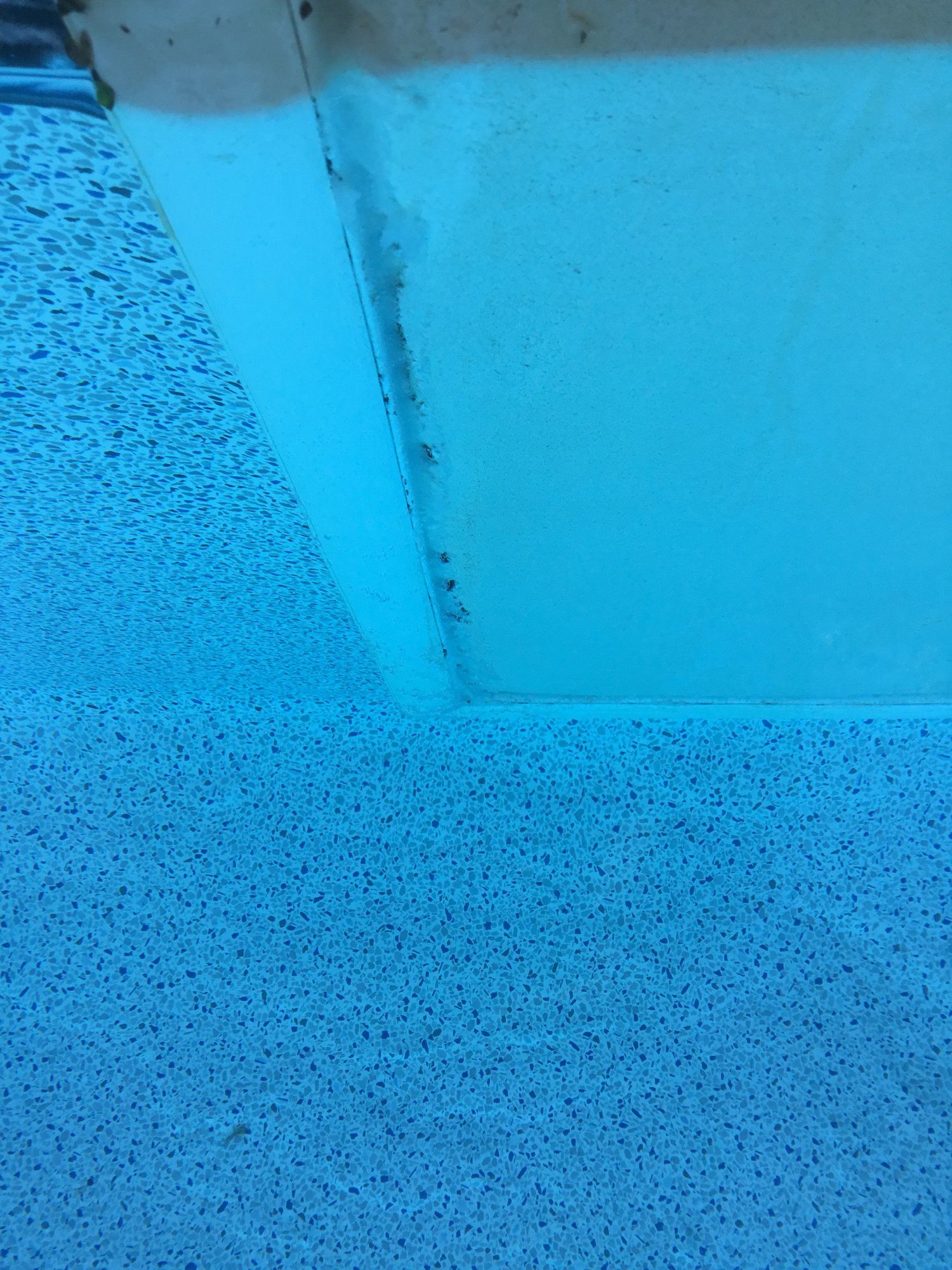 F324B701-8453-44B3-BCD6-ED76E3322B3E.jpeg