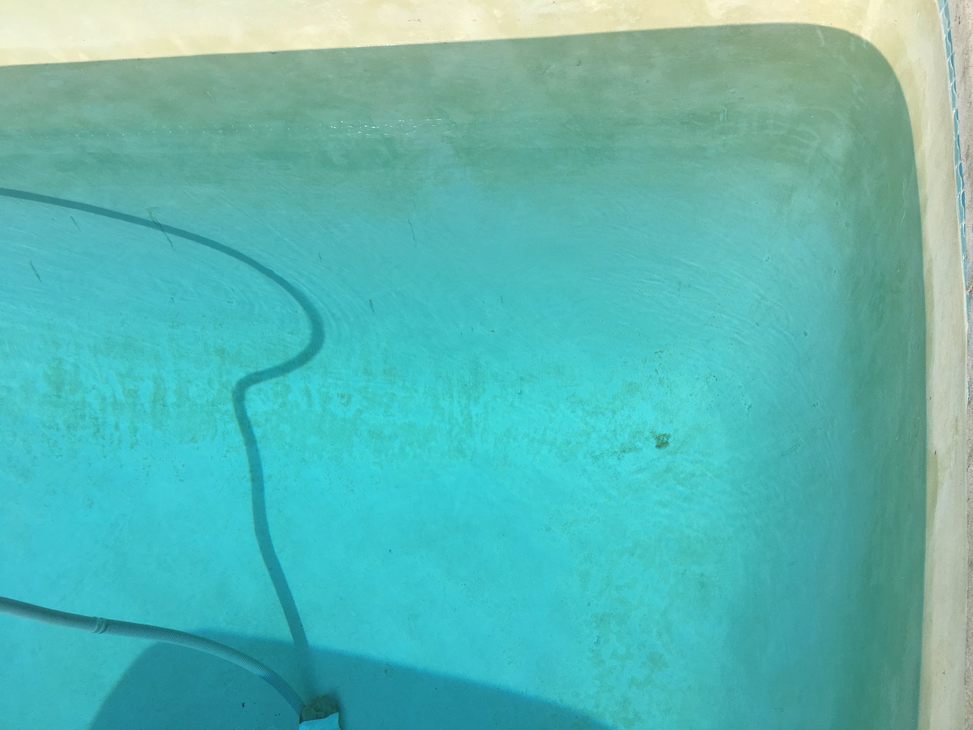 F3485F06-645F-4F07-BD08-F34A5D9A208F.jpeg