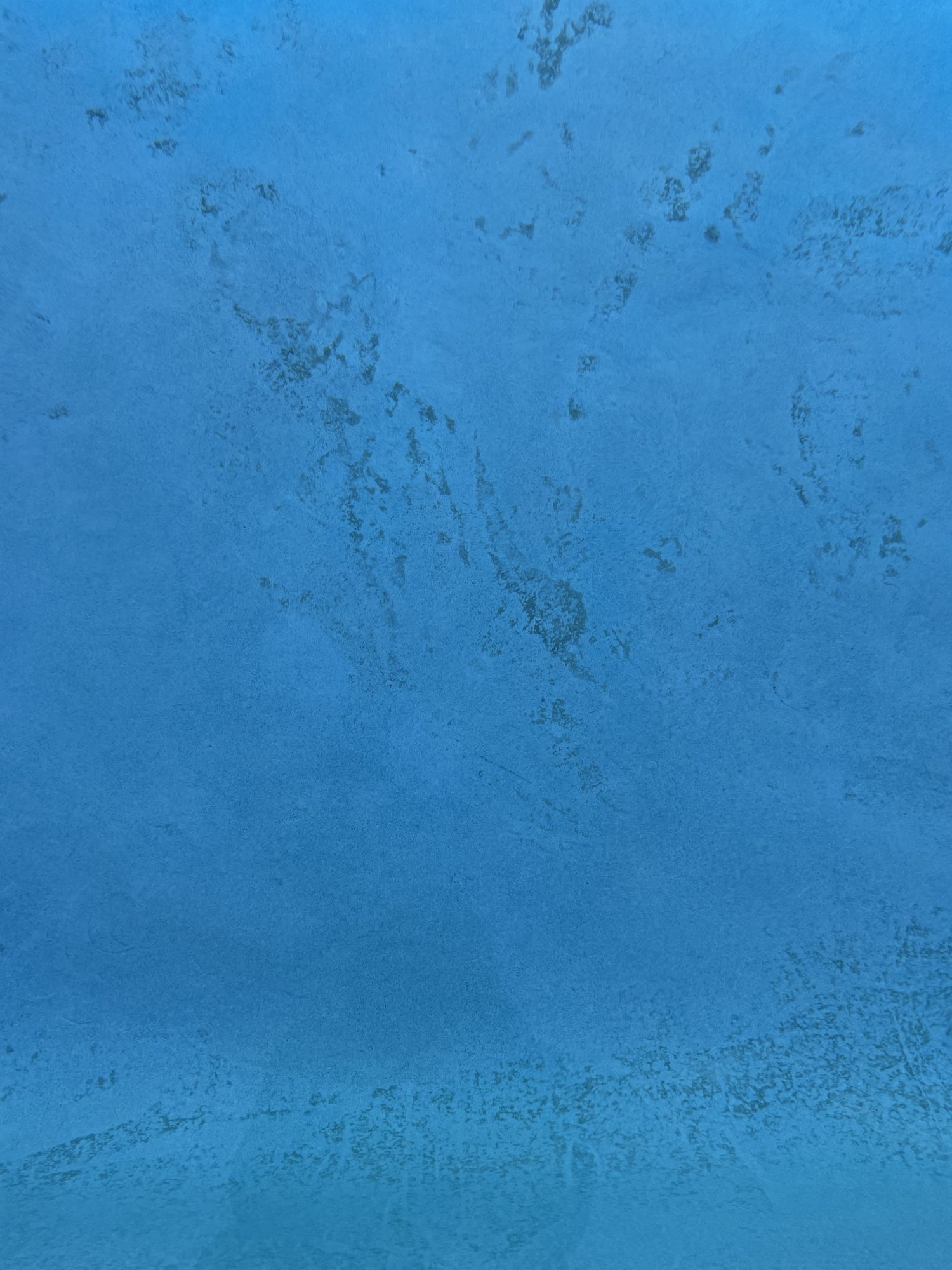 F437F68C-A063-47DA-BB3C-4C9B3698723C.jpeg