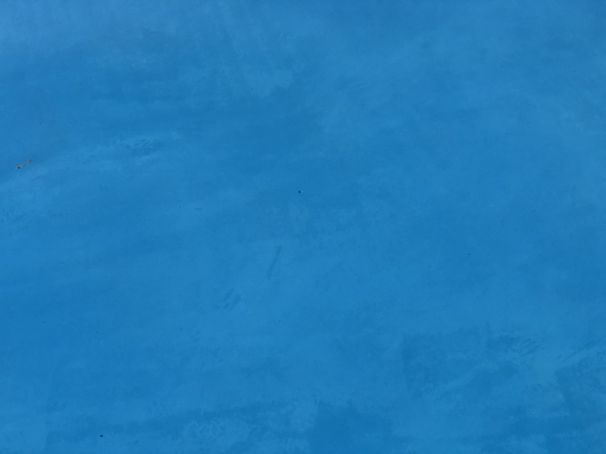 F450E77A-D343-41E2-9ADE-38FBB356664A.jpeg