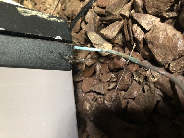 F6111035-1531-45E2-896C-C96938788D59.jpeg