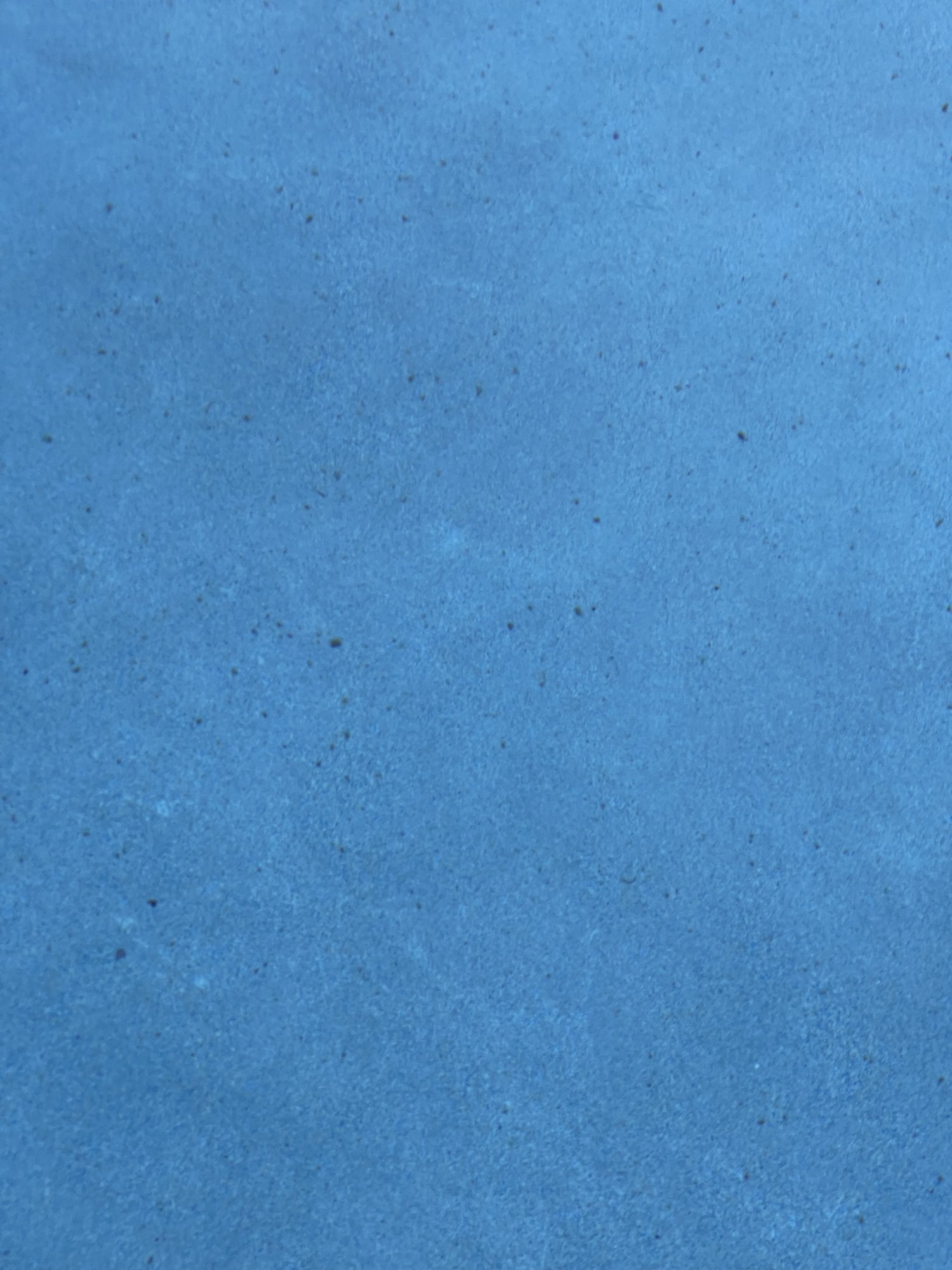 F645F4F0-CB24-43BA-BD0B-AE84170AE321.jpeg