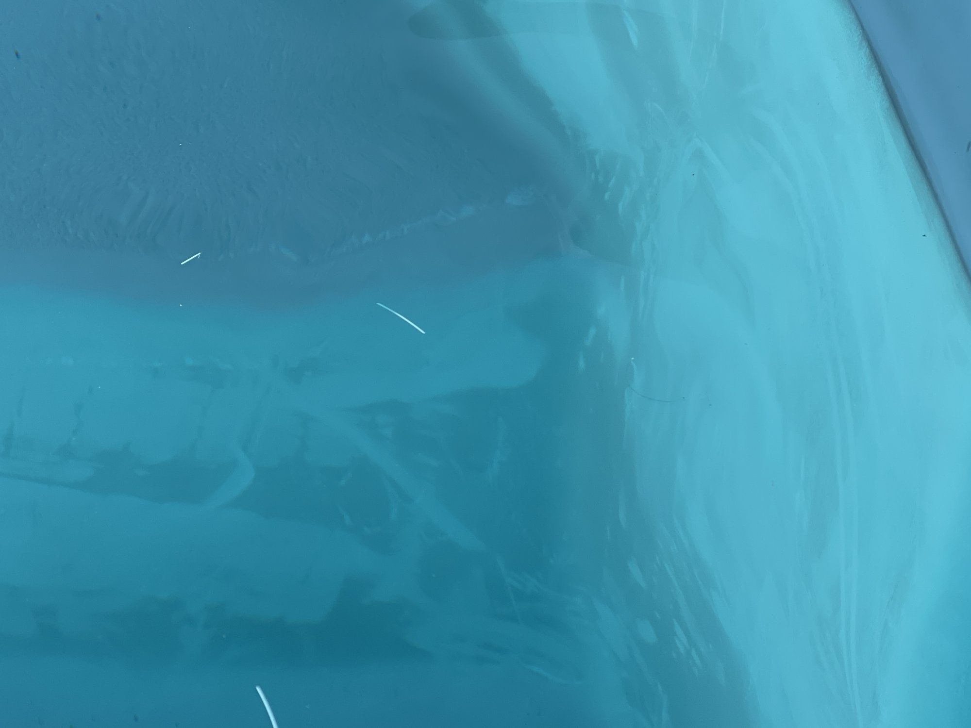 F70AD57A-4B77-4FA4-9B77-D373881649D7.jpeg