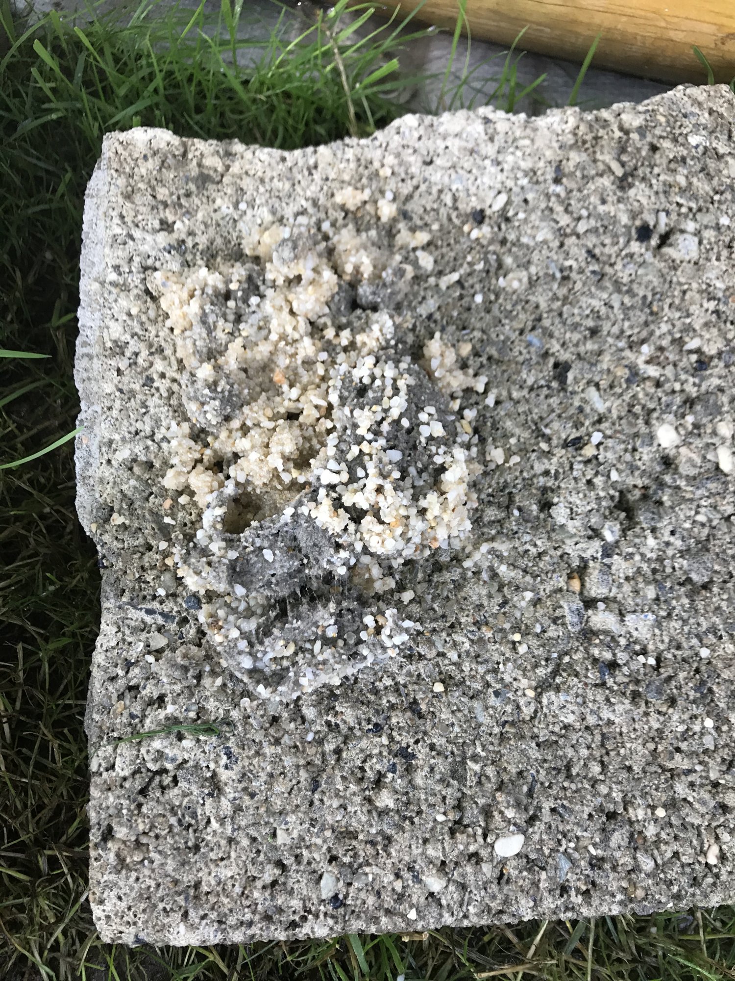 F7216655-BB91-4DE5-9B8D-2312CF1F2650.jpeg