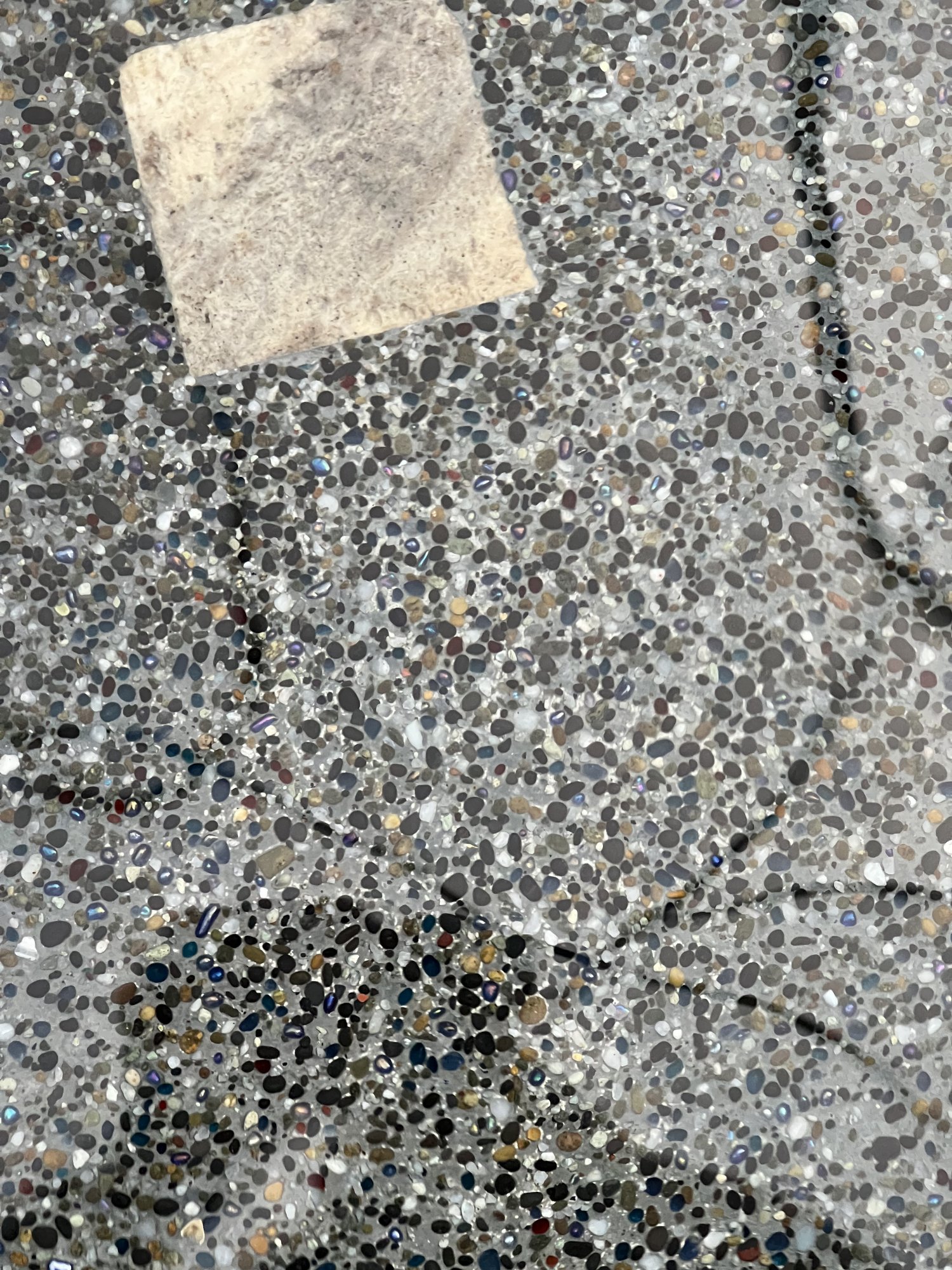 F7955D71-D7EA-4563-8B15-424FB9D9D7E9.jpeg