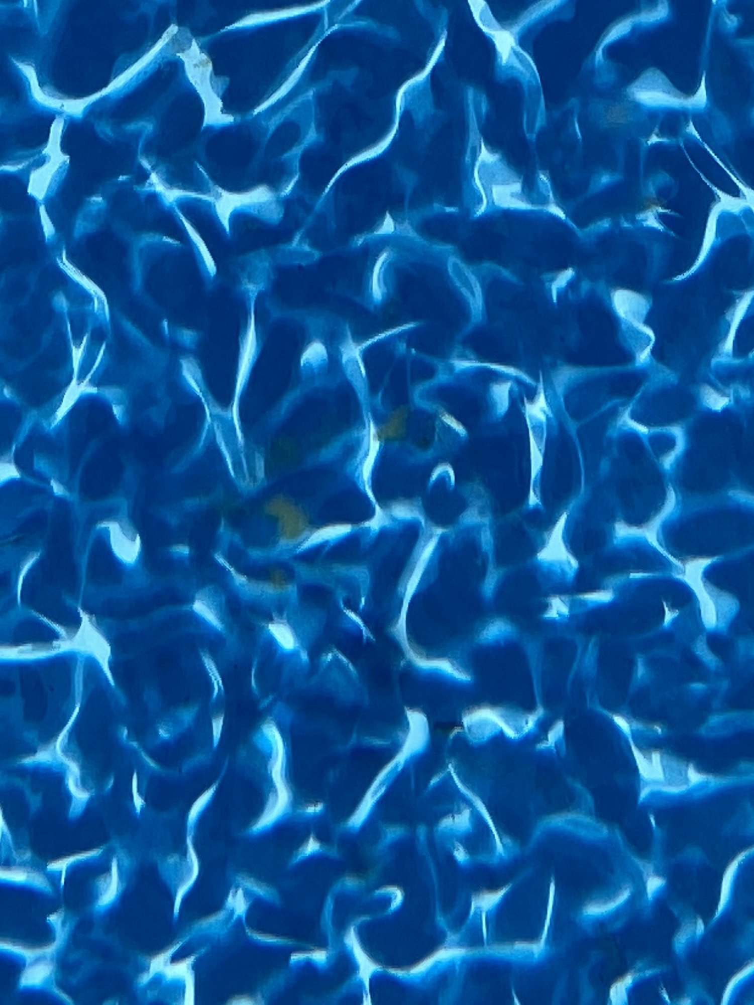 F7F92798-B9E3-479D-8E25-D0819258D791.jpeg