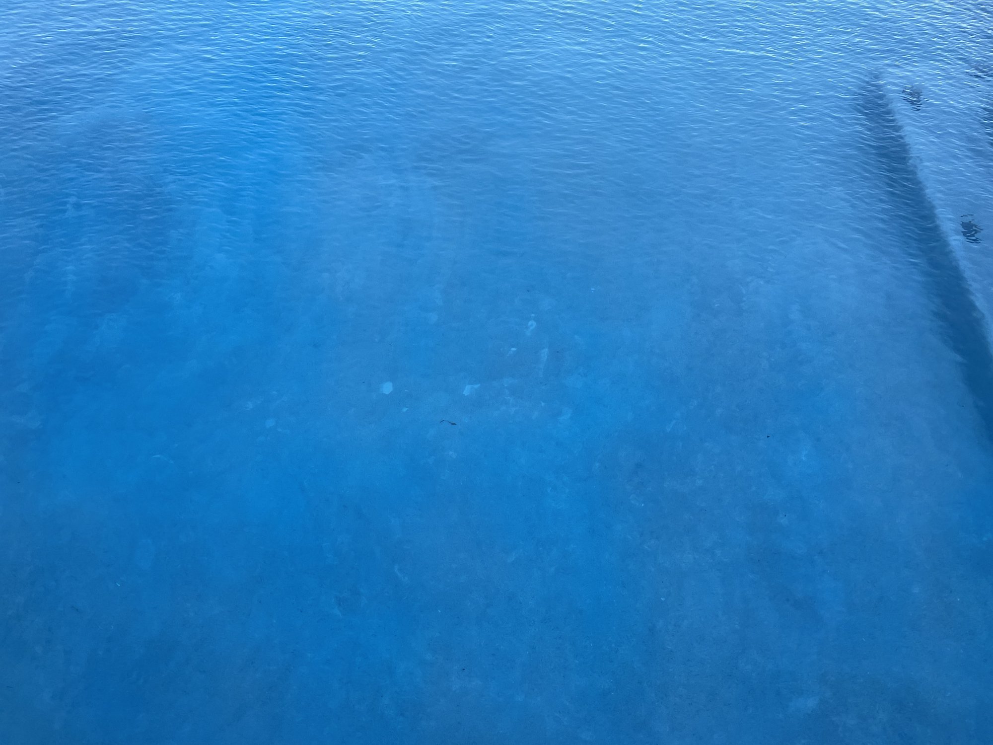 F7FD46C2-C298-49C1-9457-835CC76F5401.jpeg