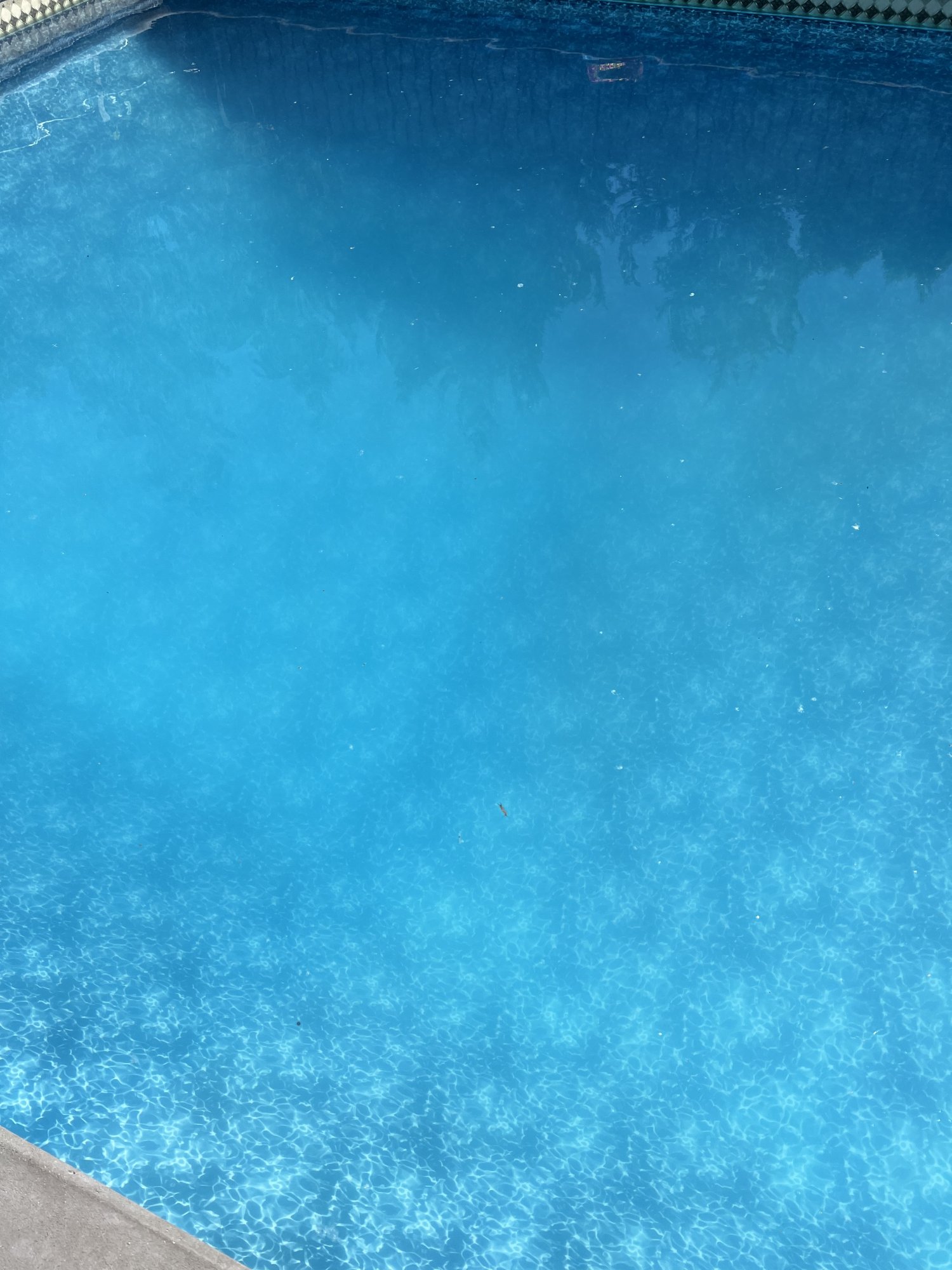 FADB3EE7-976D-4CE8-A77F-2118A015876C.jpeg