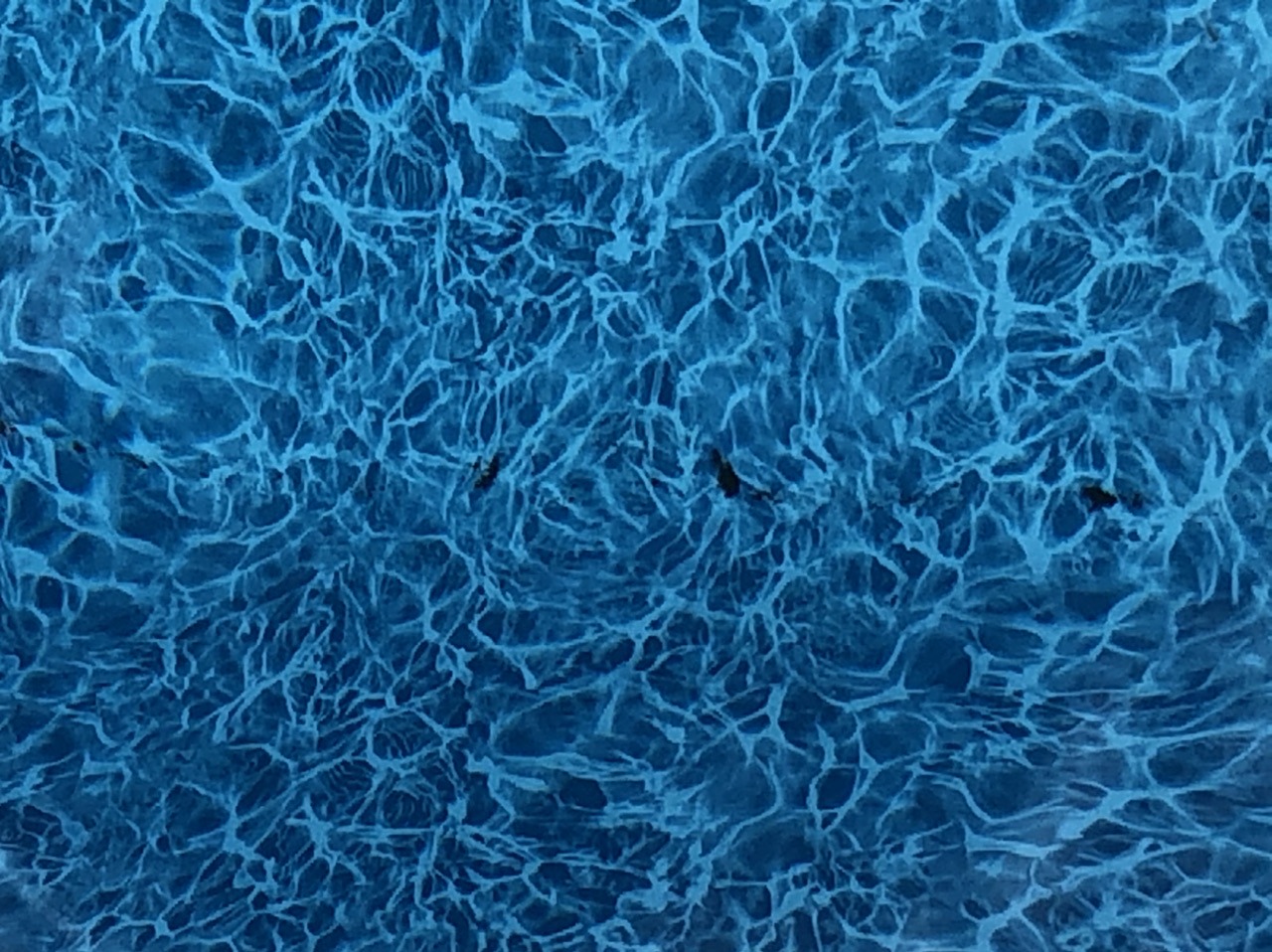 FAF7C62A-0B6A-4A62-85B8-EDDD7F00A9BE.jpeg