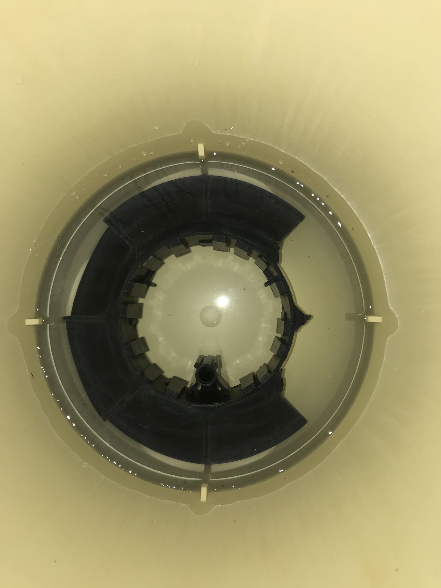 FB8F1880-9BBA-40DB-BCE9-FD672FDE7E1C.jpeg