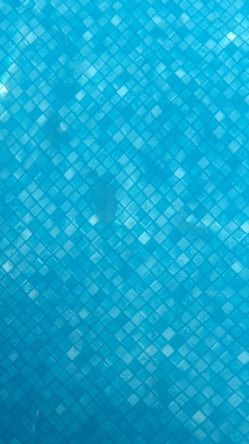 FCF97D0E-B28C-42FD-804F-74A593408851.jpeg