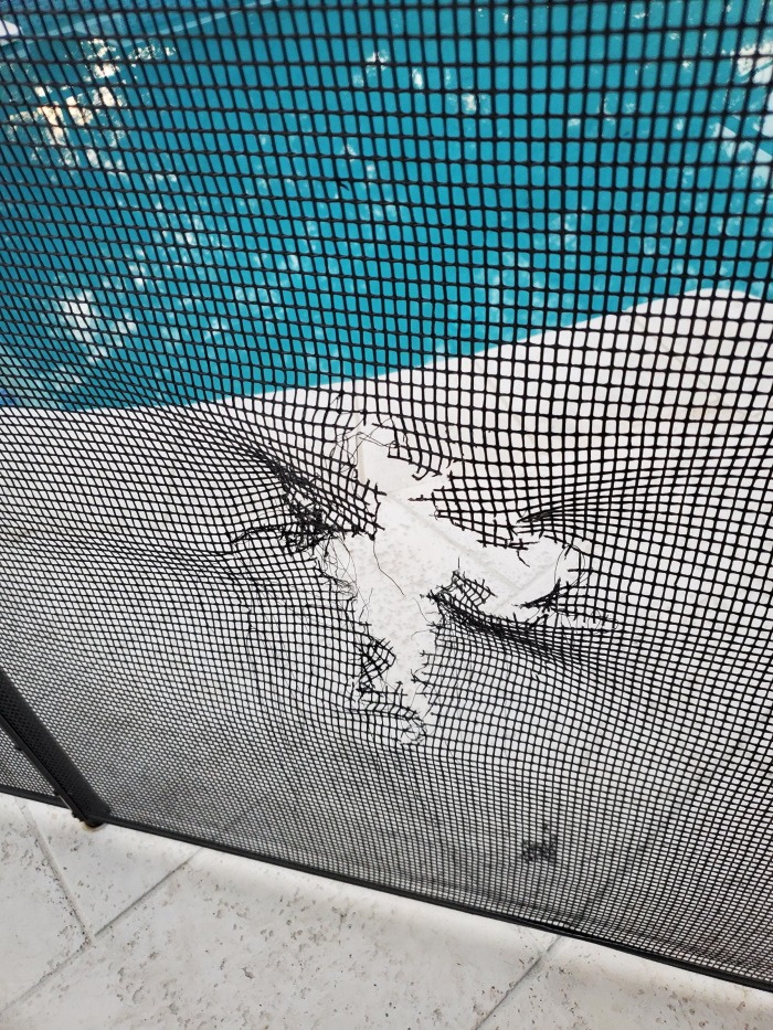fencehole.jpeg