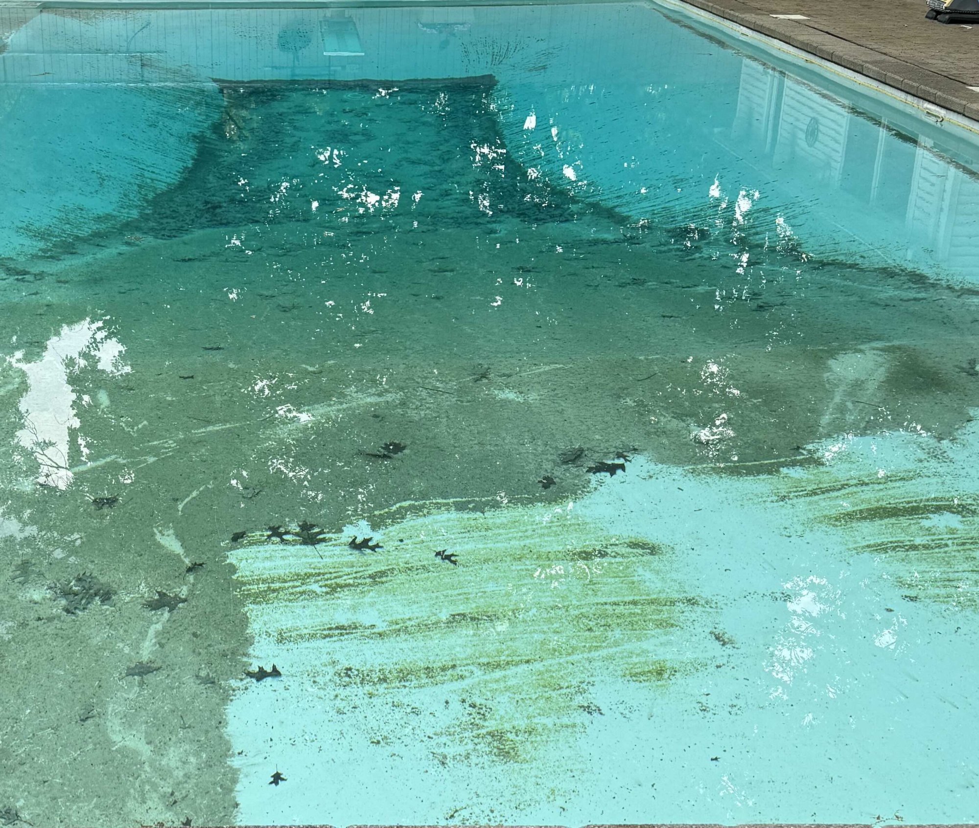 few_days_before_pool.jpg