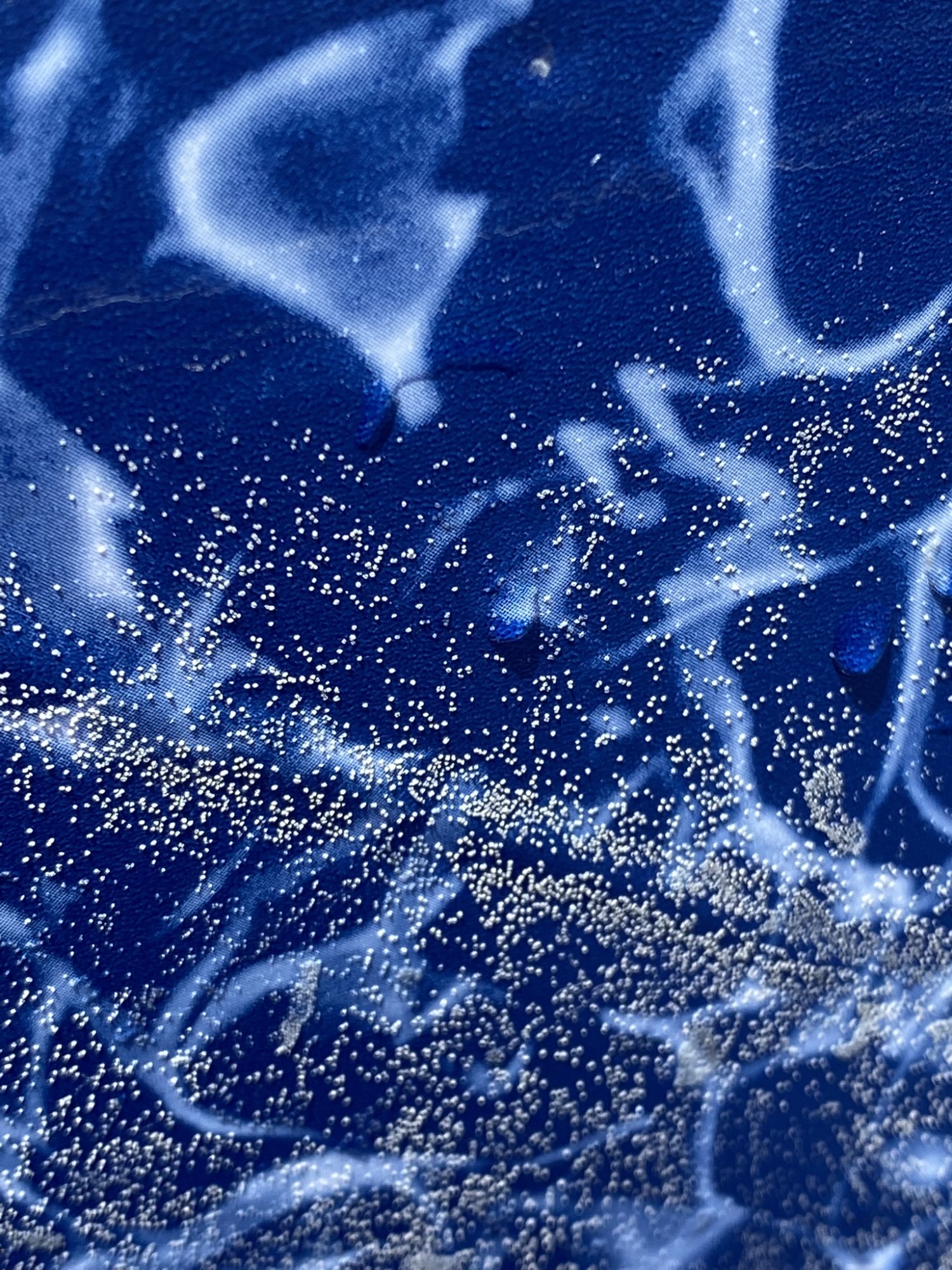 FF183D01-739A-439B-95C4-DA1D2BF401A6.jpeg
