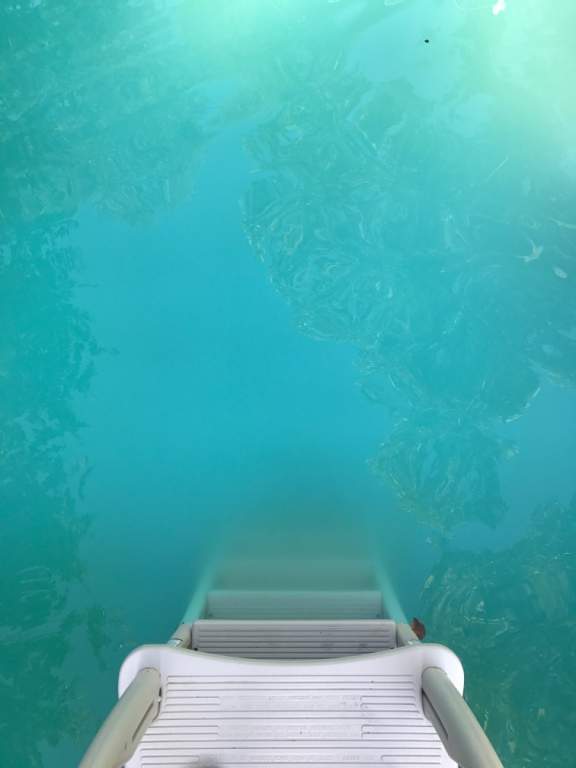 File_000.jpg