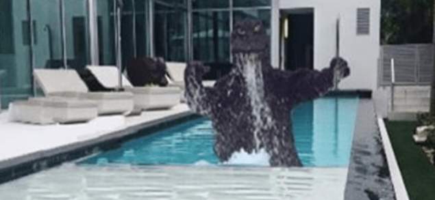 Fillzilla.jpg
