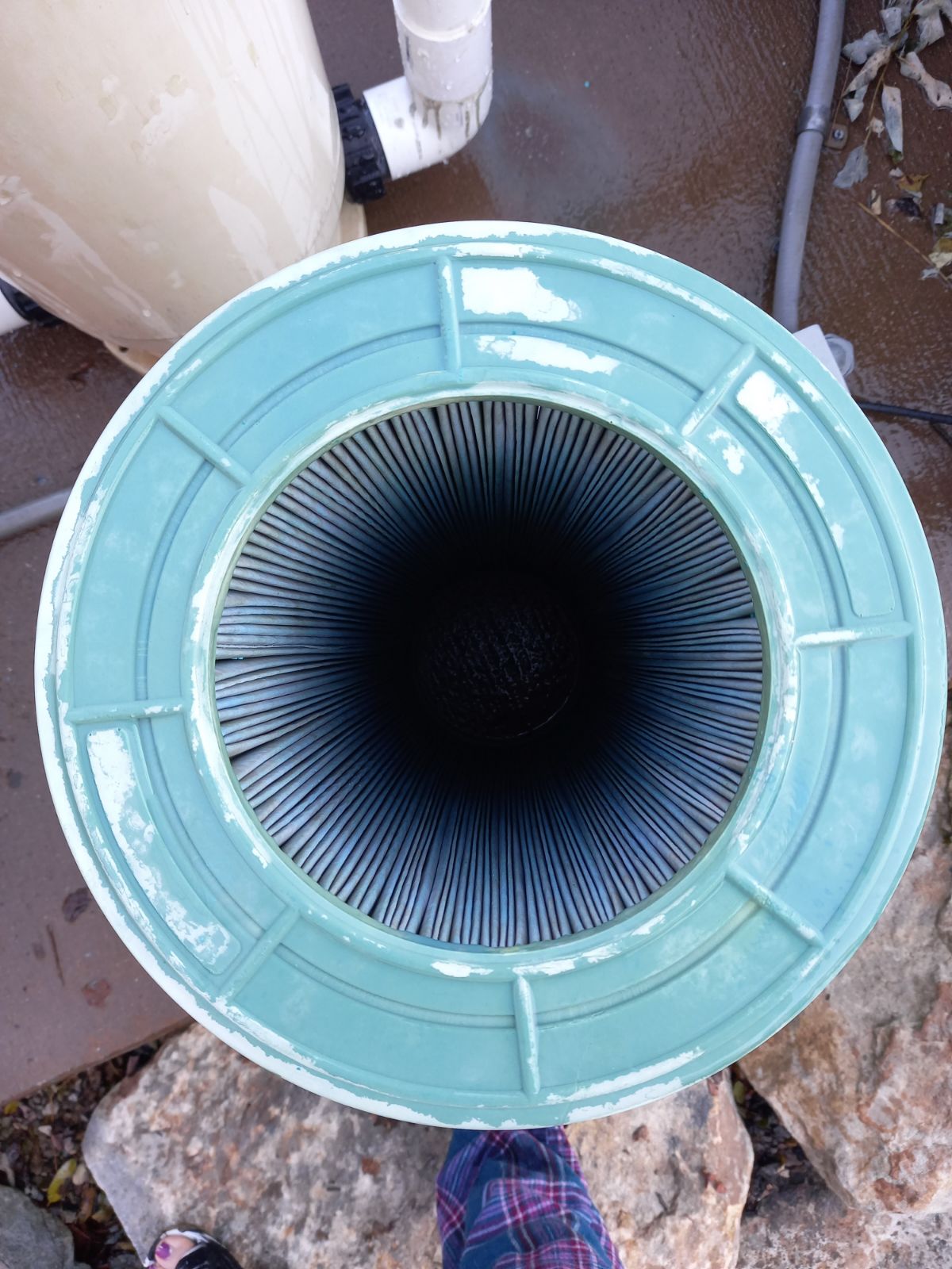 filter bottom.JPG