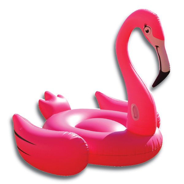 FlamingoFloat_Website.jpg
