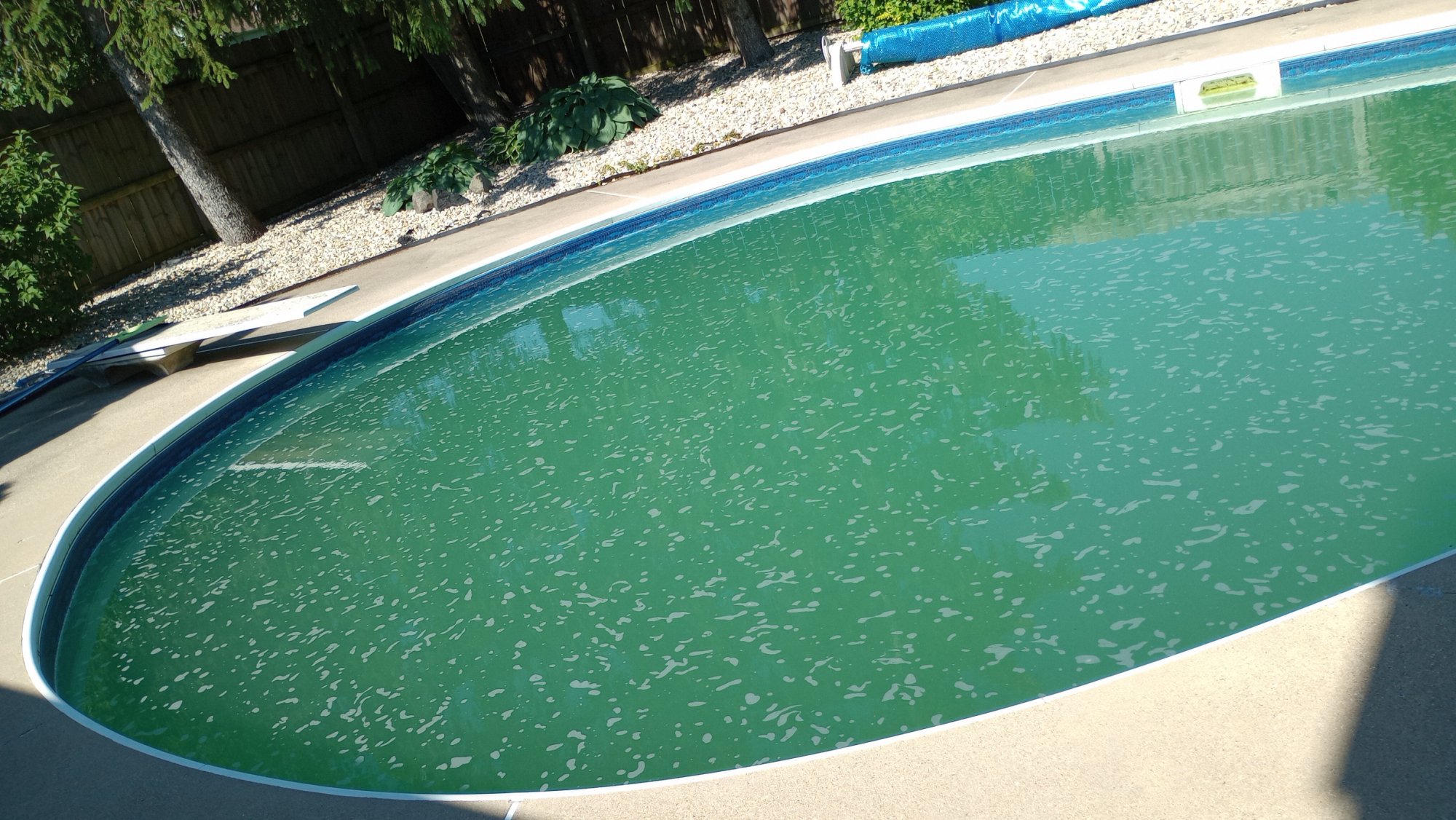 FORT_WAYNE_POOL_GREENISH_WATER_PUMP_RUNNING_SURFACE_WATER_STUFF.jpg