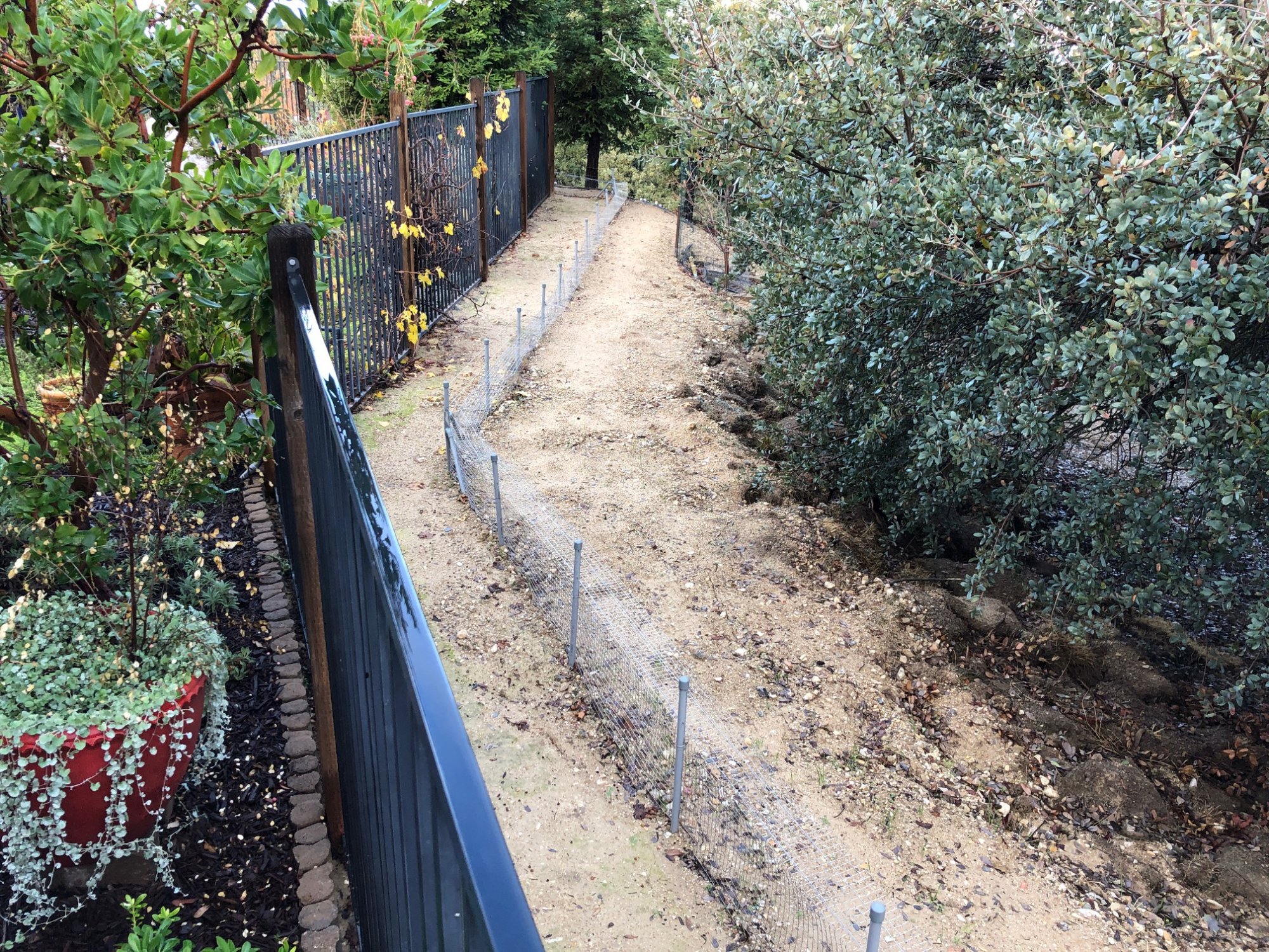 gopher fence.jpg