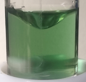 green 2.png
