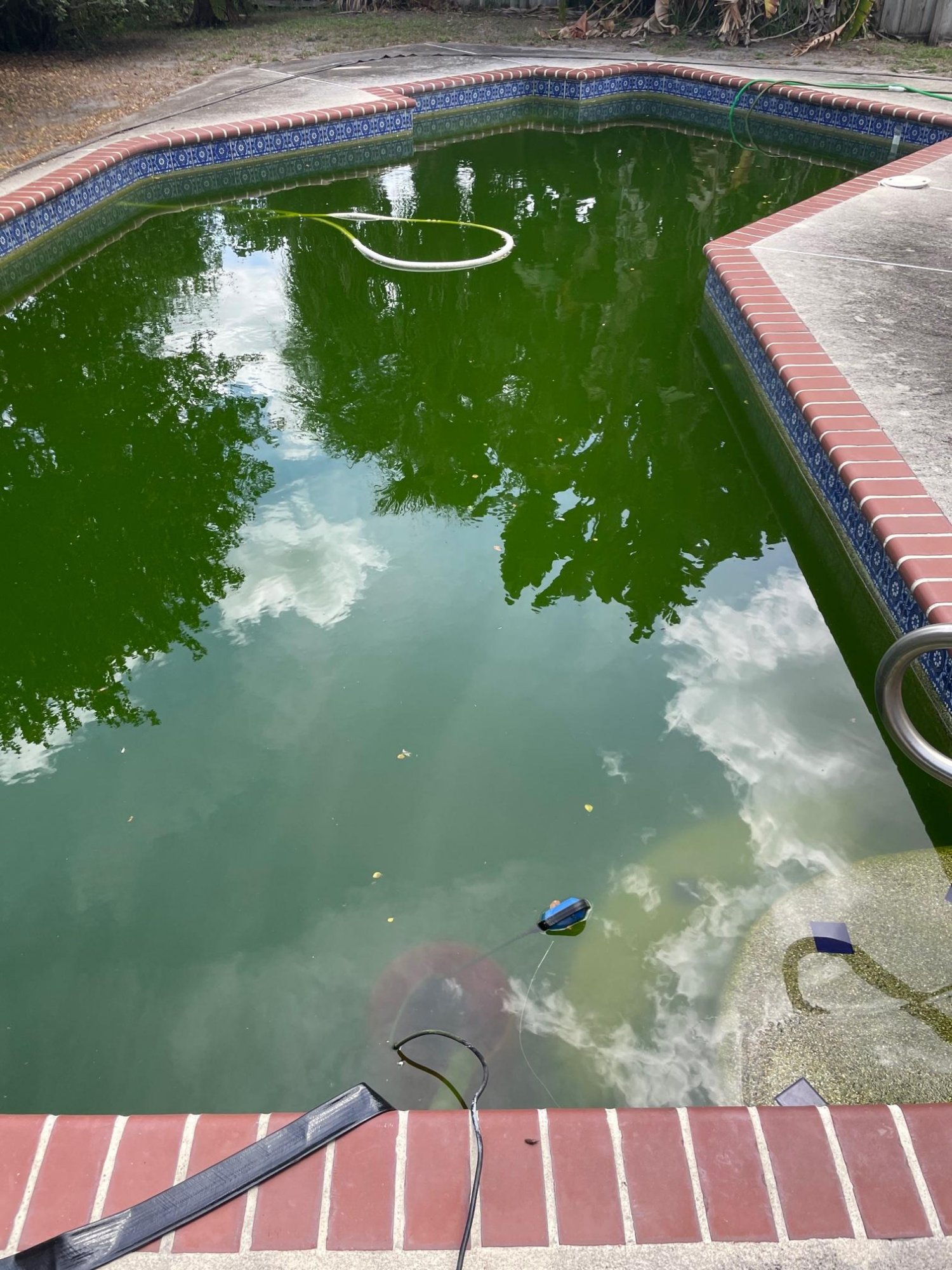 green pool update.jpg