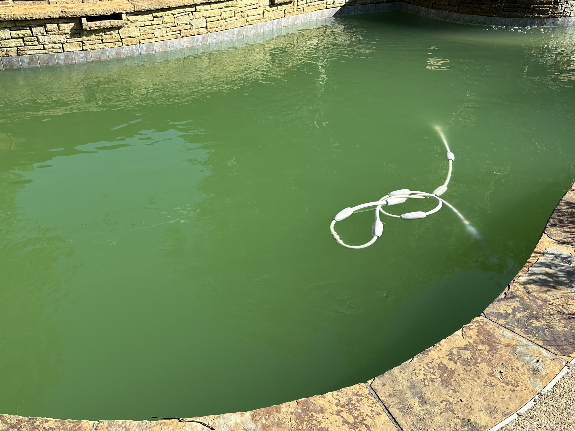 greenpool.jpg