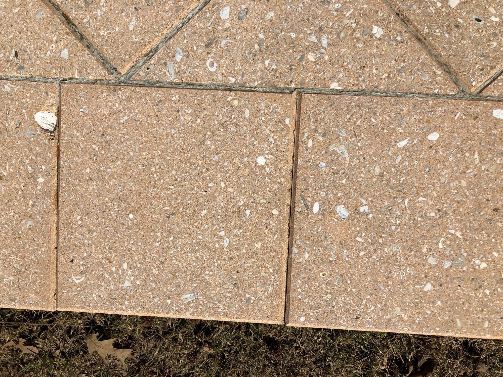 grout material on pool perimeter tiles.jpg