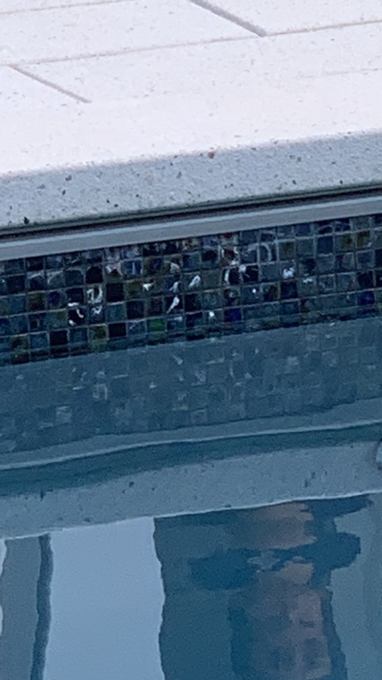 Image-1.jpg