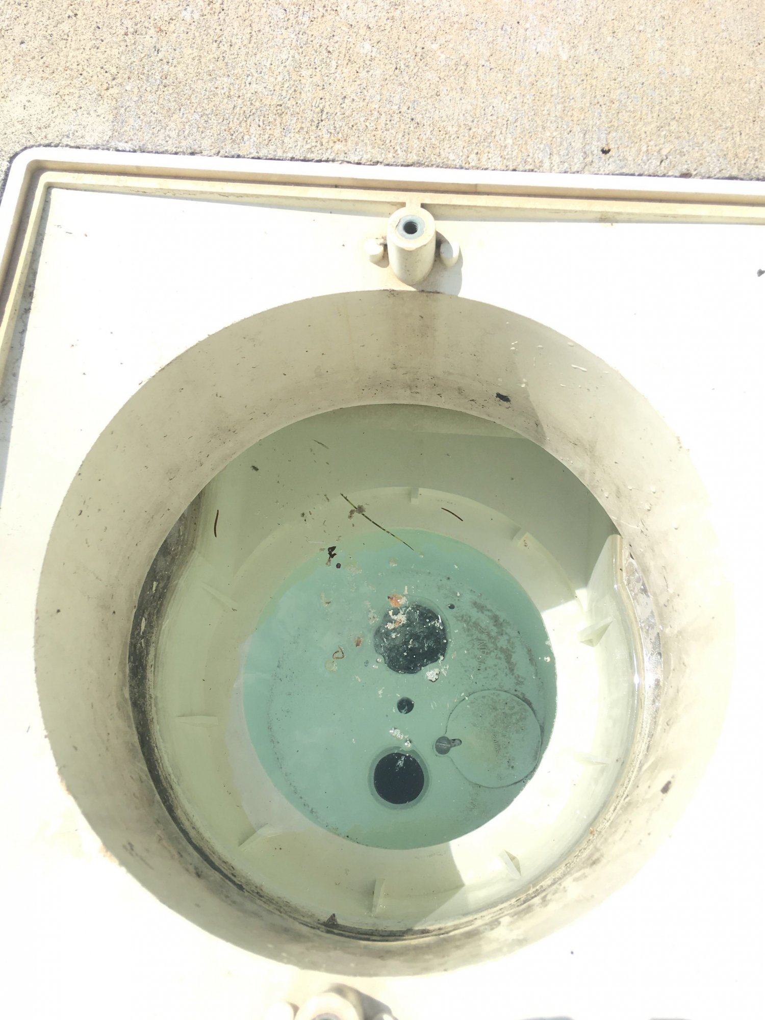 Image from iOS (7).jpg