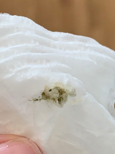 image0 (1).jpeg