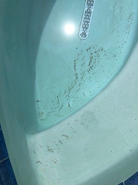 image1 (1).jpeg