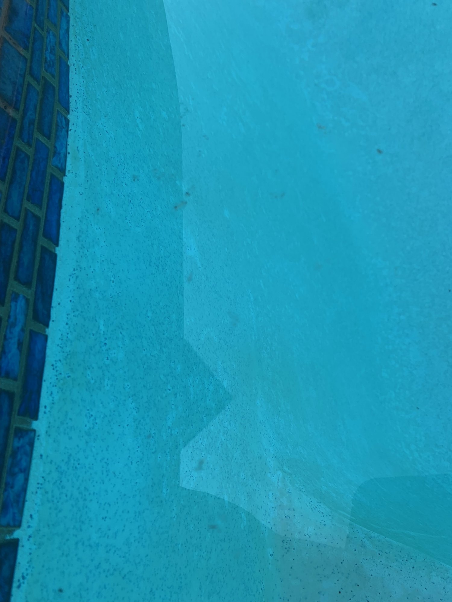 image1 (1).jpeg