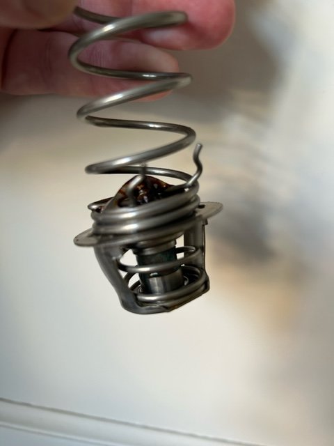 image1 (1).jpeg