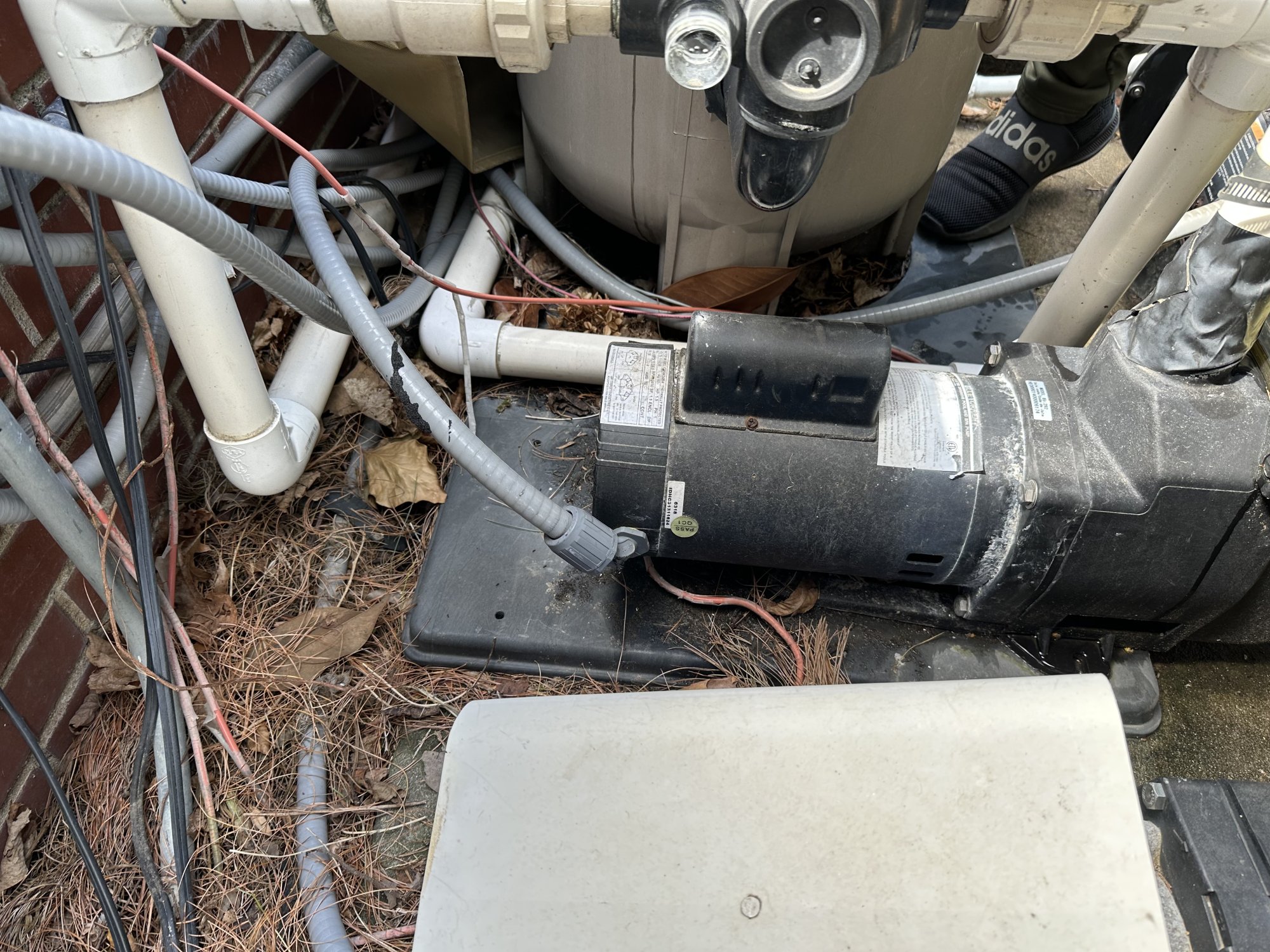 image1(1).jpeg