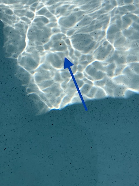 image1.jpeg