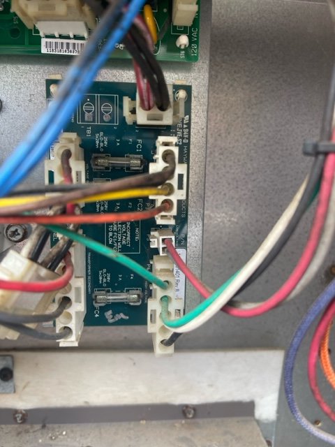 image1.jpeg