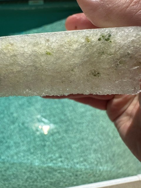 image1.jpeg